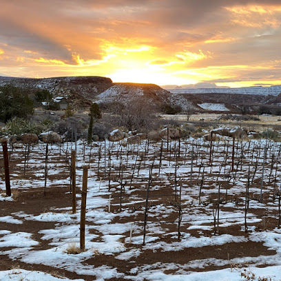 Zion Vineyards