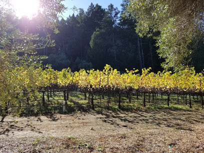 Sabina Vineyards