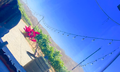 Vino Tinto Tours Baja Wine Tours