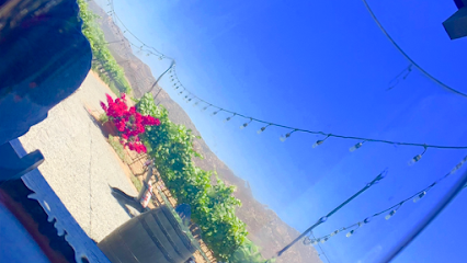Vino Tinto Tours Baja Wine Tours