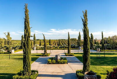 Toca Madera Winery