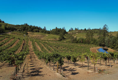 Schweiger Vineyards & Winery