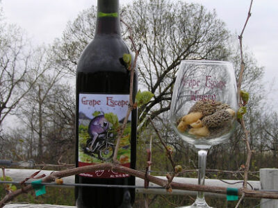 Grape Escape Winery