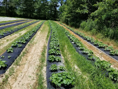 Footprint Farm
