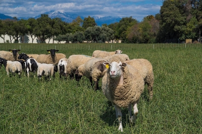 Spadra Farm
