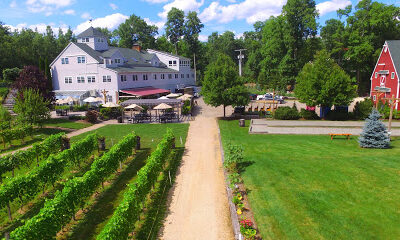 Zorvino Vineyards