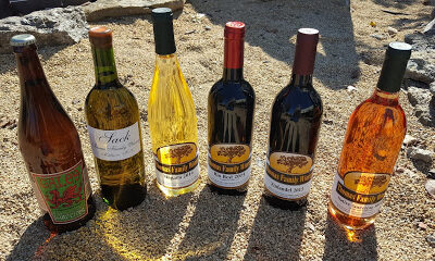Thomas Family Winery