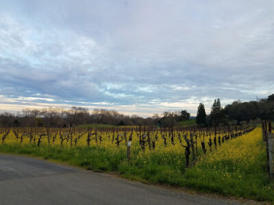 Martorana Family Winery