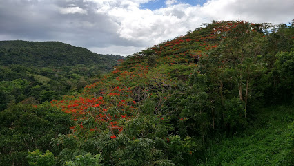 Finca Arce