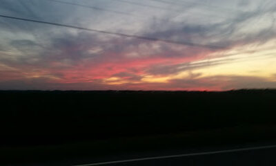 Martin Blad Farms