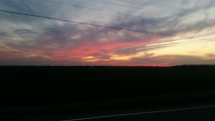 Martin Blad Farms