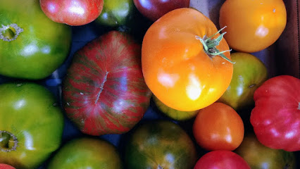 Wild Hare Organic Farm