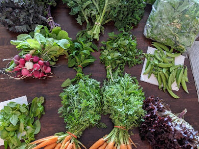 Farmers Market Ogden