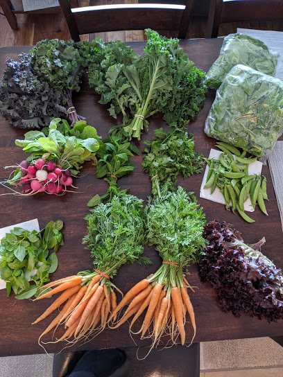 Farmers Market Ogden