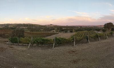 Fratelli Perata Winery
