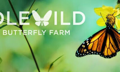 Idlewild Butterfly Farm