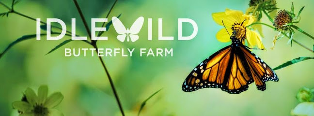 Idlewild Butterfly Farm