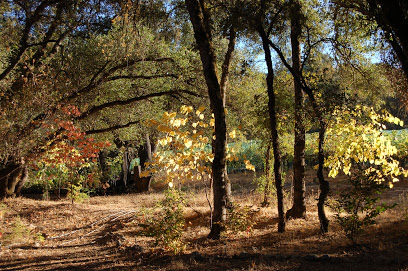Slate Ridge Vineyard