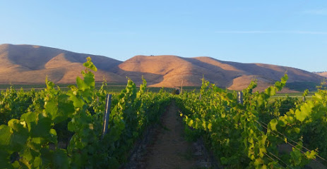 Bien Nacido Vineyards