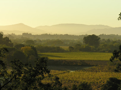 Holdredge Wines