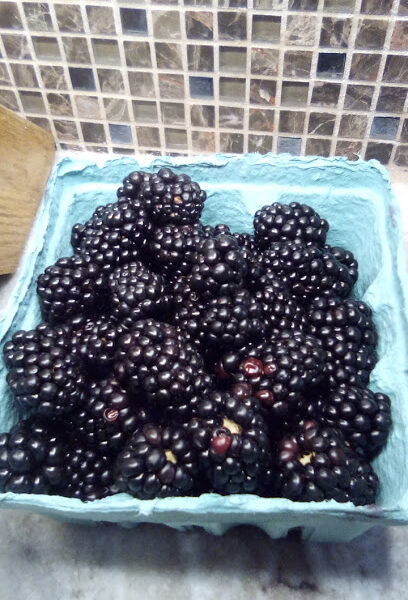 Port City Farmers Market