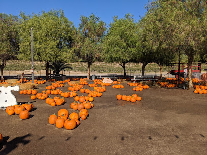 Peltzer Pumpkin Farm - CLOSED until the 2021 Harvest Season