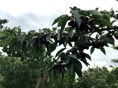 Heritage Treefruit LLC