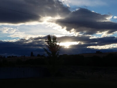 Songbird Vineyard