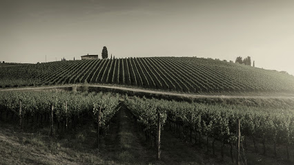 Aquilini Wines
