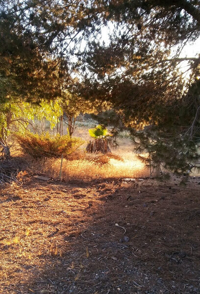 Marquis Ranch