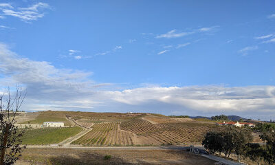 Lumiere Winery