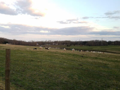 Millbrook Farm