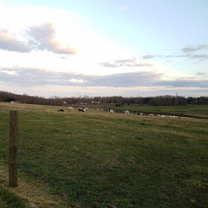 Millbrook Farm
