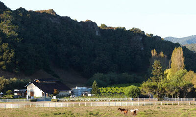 Claiborne & Churchill Winery