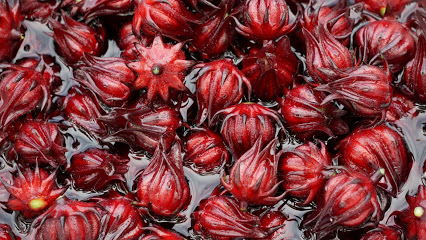 Florida Cranberry Company