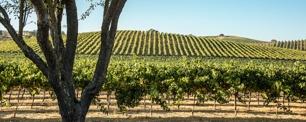 Paso Robles Wine Country Alliance