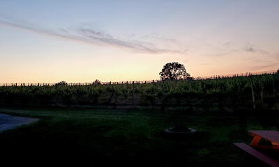 Kreutz Creek Vineyards
