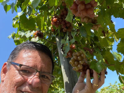 Spring Garden Vineyard