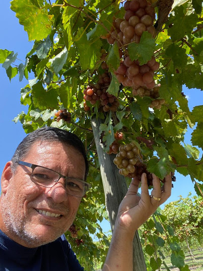 Spring Garden Vineyard