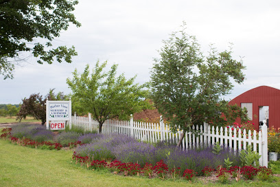Harbor View Nursery And Lavender Farm