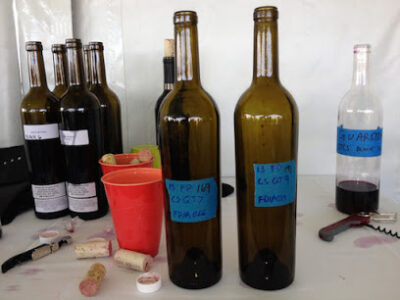 Quintessence Vineyards