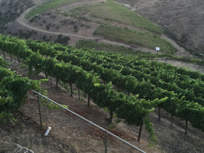 Temecula Hills Winery