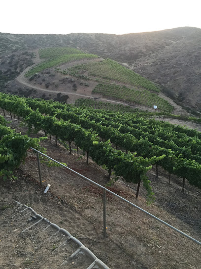Temecula Hills Winery
