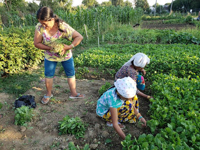 Akron Cooperative Farms