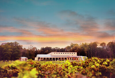 Los Pinos Ranch Vineyards