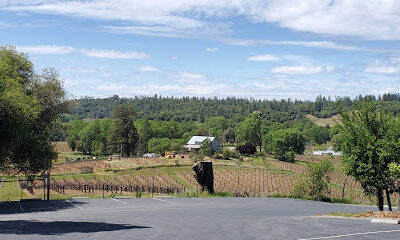 Shenandoah Vineyards