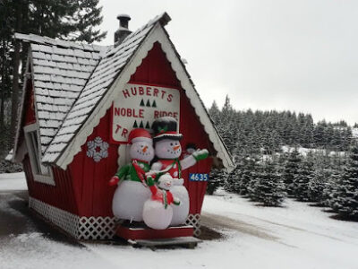 Huberts Christmas Trees