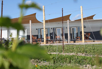 KIN Vineyards
