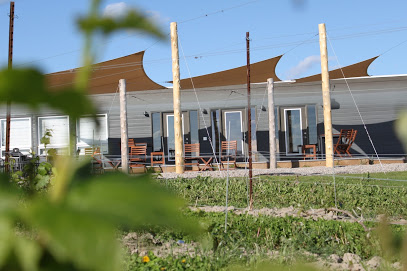 KIN Vineyards