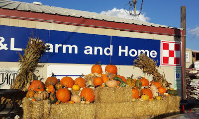 D & L Farm and Home - Denton